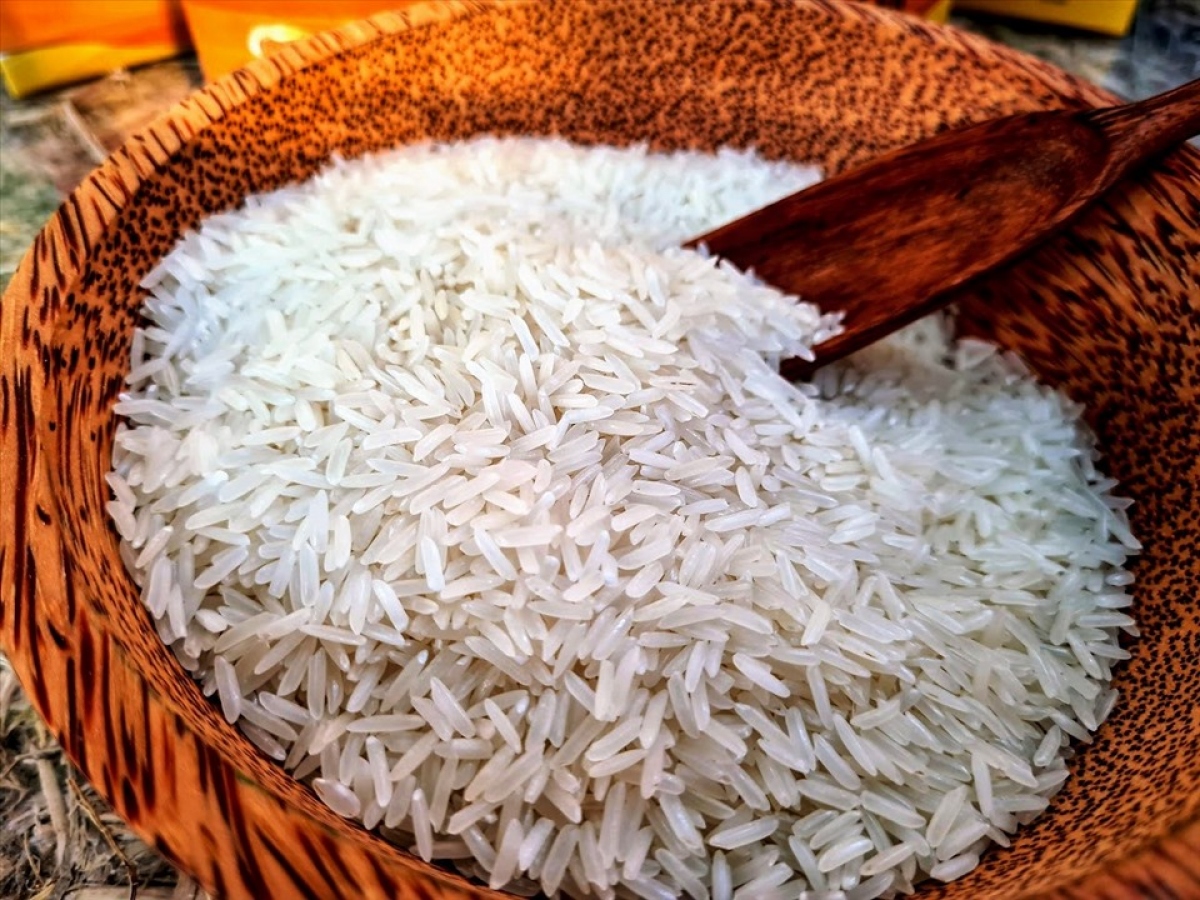 Giá gạo giảm mạnh nhất trong vòng 45 năm, người dân lo ngại giá thu mua thấp - Ảnh 1.