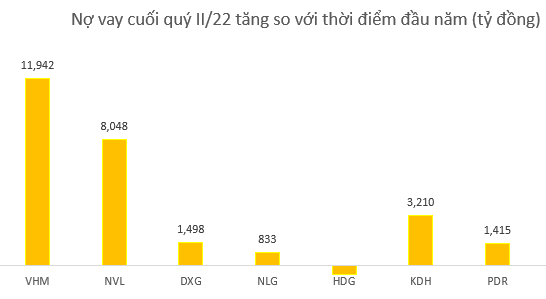 So sánh hệ số nợ của các doanh nghiệp bất động sản - Ảnh 2.