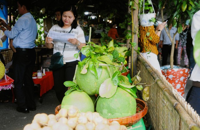 Lô bưởi Việt Nam đầu tiên sắp xuất khẩu sang Mỹ - Ảnh 1.