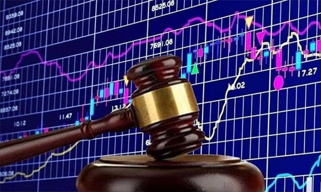 Ủy ban Chứng khoán Nhà nước xử phạt 3 doanh nghiệp - Ảnh 2. Ủy ban Chứng khoán Nhà nước xử phạt 3 doanh nghiệp - Ảnh 2.