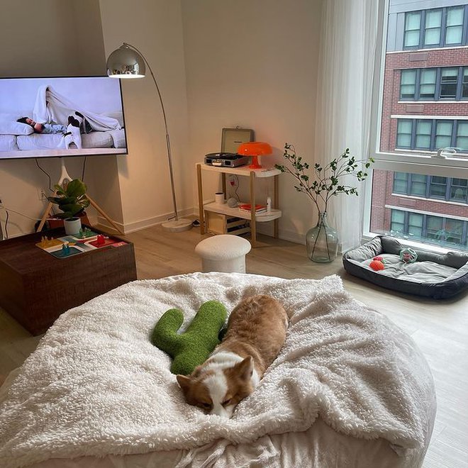 Ngắm căn hộ đi thuê đẹp như mơ giữa trung tâm New York của cô gái Việt - Ảnh 2. Ngắm căn hộ đi thuê đẹp như mơ giữa trung tâm New York của cô gái Việt - Ảnh 2.