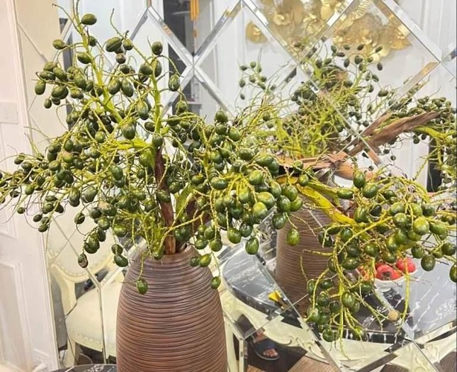 Mới lạ cành quả cắm bình đang làm mưa, làm gió trên thị trường - Ảnh 1. Mới lạ cành quả cắm bình đang làm mưa, làm gió trên thị trường - Ảnh 1.
