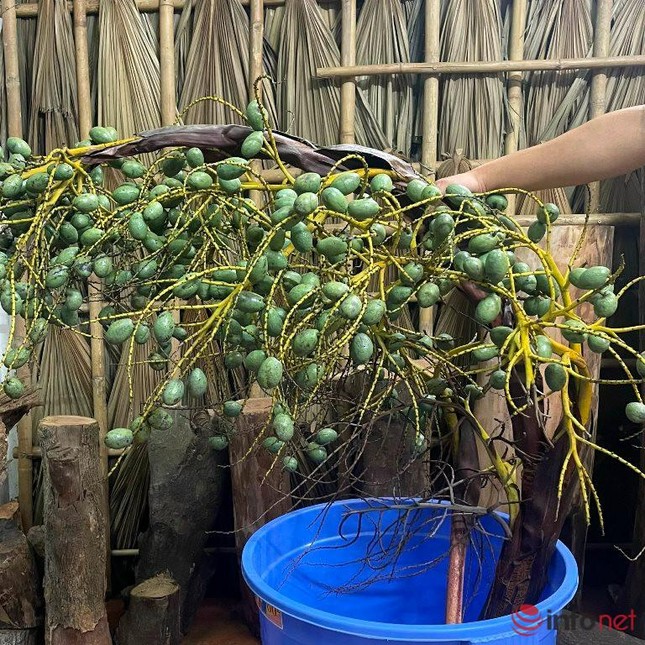 Mới lạ cành quả cắm bình đang làm mưa, làm gió trên thị trường - Ảnh 2. Mới lạ cành quả cắm bình đang làm mưa, làm gió trên thị trường - Ảnh 2.