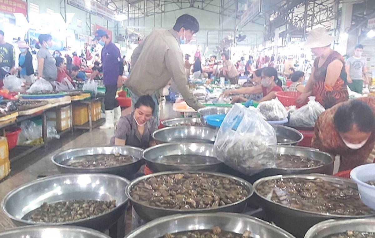 Sau mưa lũ, rau xanh tại Đà Nẵng tăng giá - Ảnh 4.