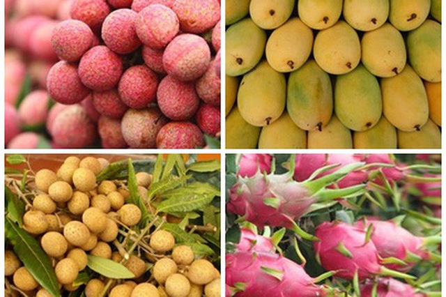 Làm gì để tăng hiệu quả xuất khẩu trái cây Việt? - Ảnh 2.