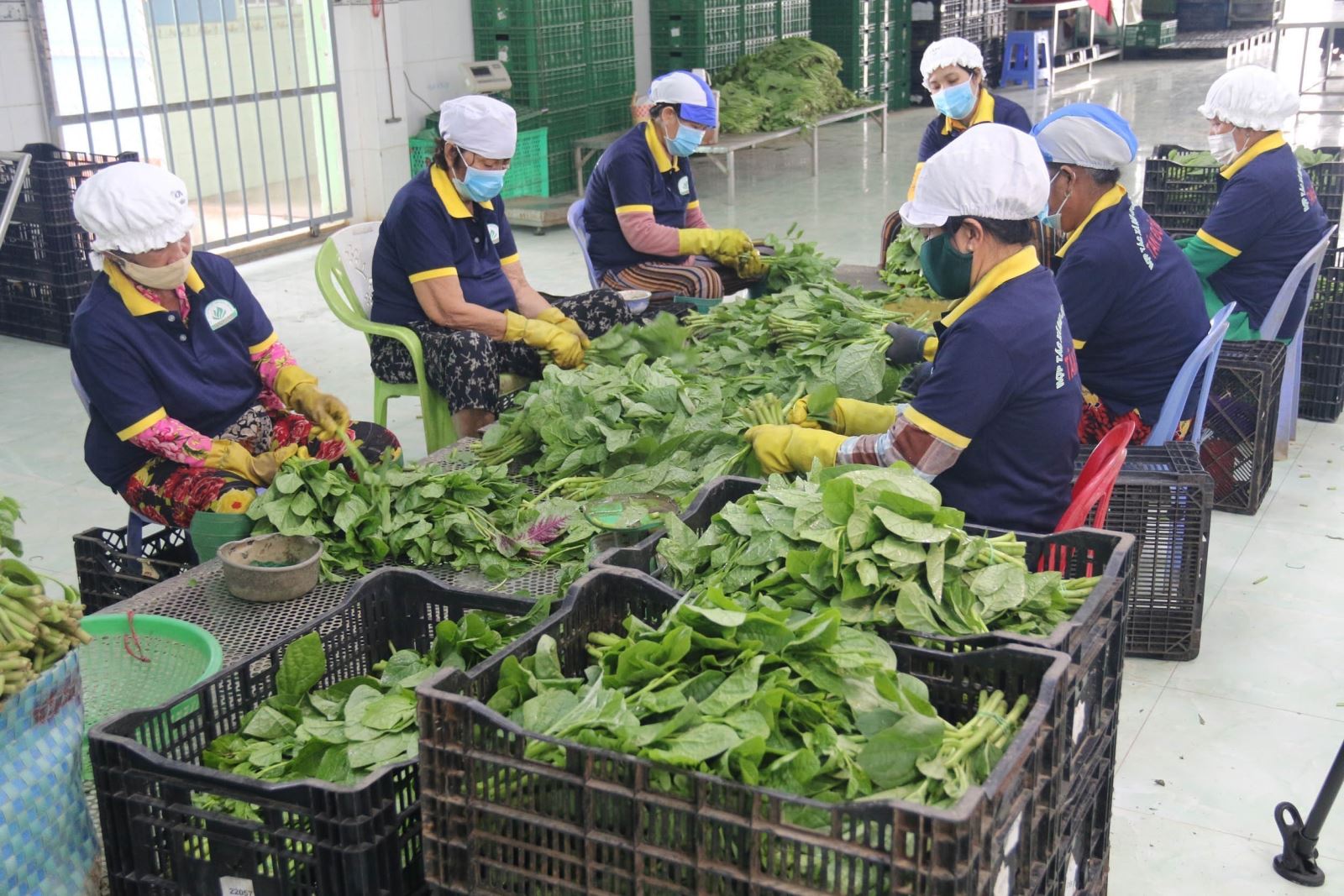 Kiểm soát chất lượng hàng hóa tại siêu thị - Ảnh 1.