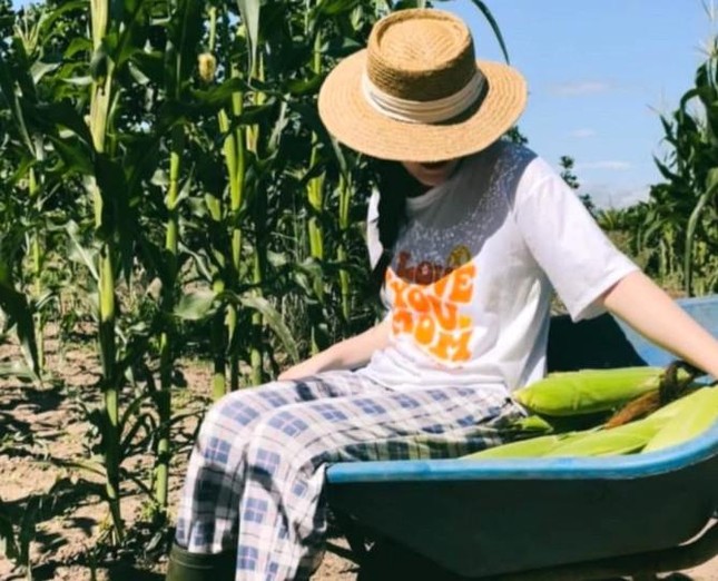 Công an thu giữ ô tô vật chứng vụ Tiểu thư sang chảnh Tina Dương - Ảnh 2. Công an thu giữ ô tô vật chứng vụ Tiểu thư sang chảnh Tina Dương - Ảnh 2.