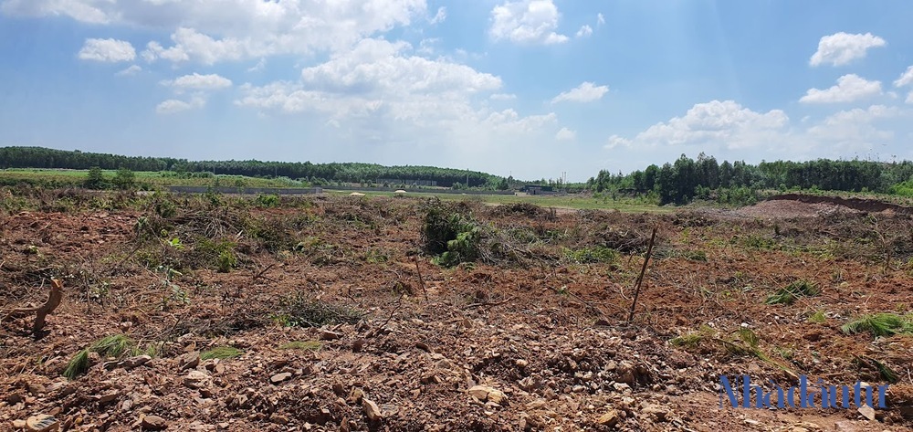 Hy vọng nào từ dự án nhà máy xử lý rác 131 tỷ đồng ở Quảng Bình? - Ảnh 2. Hy vọng nào từ dự án nhà máy xử lý rác 131 tỷ đồng ở Quảng Bình? - Ảnh 2.