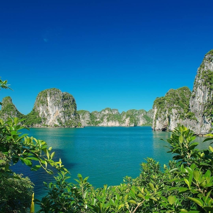 Vẻ đẹp nguyên sơ, ít người đặt chân đến ở ‘mắt rồng’ giữa lòng vịnh Hạ Long - Ảnh 3. Vẻ đẹp nguyên sơ, ít người đặt chân đến ở ‘mắt rồng’ giữa lòng vịnh Hạ Long - Ảnh 3.