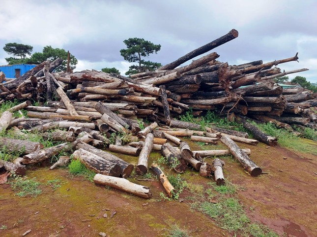 Cựu Chủ tịch tỉnh Gia Lai vừa bị cách chức tiếp tục xin đi chữa bệnh - Ảnh 2. Cựu Chủ tịch tỉnh Gia Lai vừa bị cách chức tiếp tục xin đi chữa bệnh - Ảnh 2.