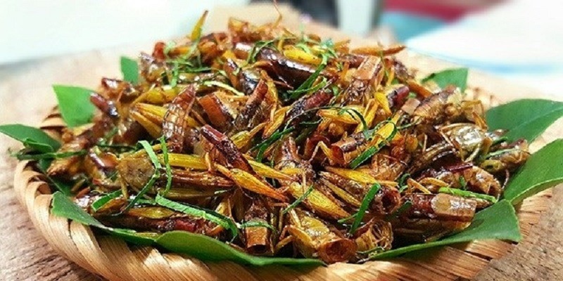 Đặc sản đồng ruộng chỉ xuất hiện khi mùa lúa chín, giá gần 300 nghìn/kg mà ai cũng thích mua - Ảnh 2. Đặc sản đồng ruộng chỉ xuất hiện khi mùa lúa chín, giá gần 300 nghìn/kg mà ai cũng thích mua - Ảnh 2.