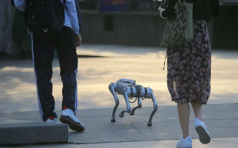Chó robot: Chắc hẳn bạn sẽ bị cuốn hút bởi những chú chó robot dễ thương. Chúng được lập trình sẵn để giúp bạn trong công việc, nhưng cũng rất có thể làm bạn thấy quyến rũ và vui tươi. Hãy xem hình ảnh về chó robot để hiểu thêm về những khả năng của chúng!