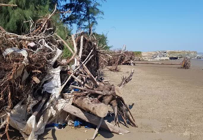 Biển xâm thực dài 1,5 km nuốt nhiều ha đất, Thanh Hóa phải cầu cứu Bộ - Ảnh 10.