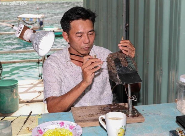See firsthand Phu Quoc fishermen exploiting billions of pearls on the seabed - Photo 7.