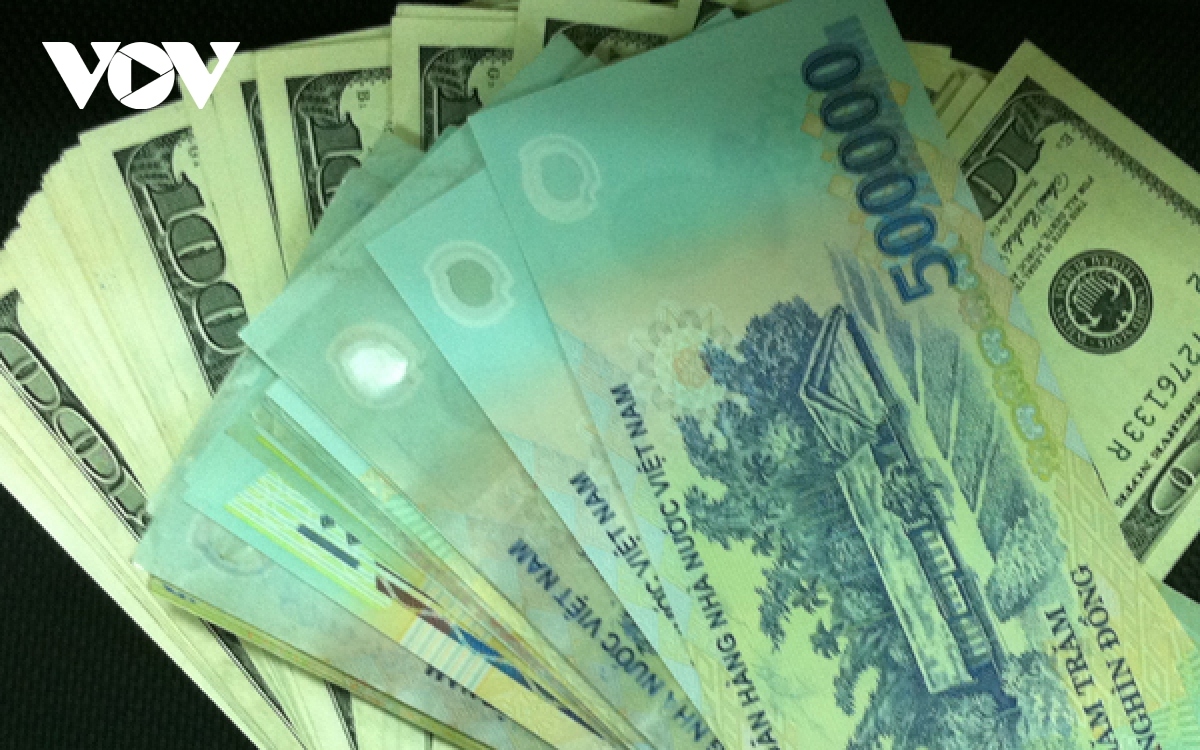 Giảm sức ép lên dự trữ ngoại hối, ngăn đầu cơ ngoại tệ - Ảnh 1. Giảm sức ép lên dự trữ ngoại hối, ngăn đầu cơ ngoại tệ - Ảnh 1.