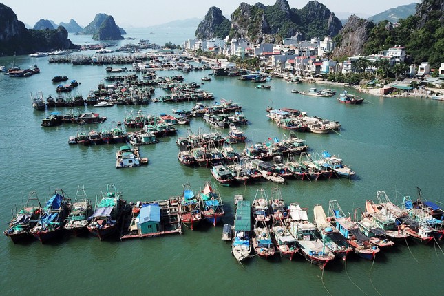 Tàu du lịch khóc thét sau thông báo bất ngờ của cây xăng duy nhất tại Vân Đồn - Ảnh 3. Tàu du lịch khóc thét sau thông báo bất ngờ của cây xăng duy nhất tại Vân Đồn - Ảnh 3.