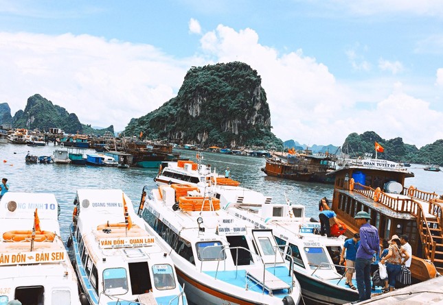 Tàu du lịch khóc thét sau thông báo bất ngờ của cây xăng duy nhất tại Vân Đồn - Ảnh 1. Tàu du lịch khóc thét sau thông báo bất ngờ của cây xăng duy nhất tại Vân Đồn - Ảnh 1.