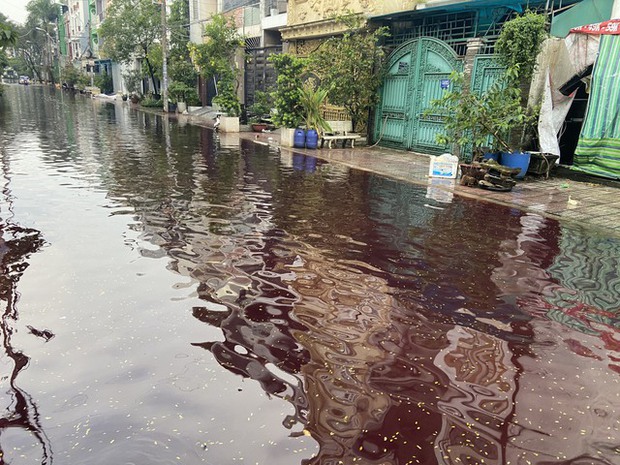  Sau cơn mưa, khu dân cư ở TP.HCM bị ngập nước có màu đỏ bất thường - Ảnh 9.