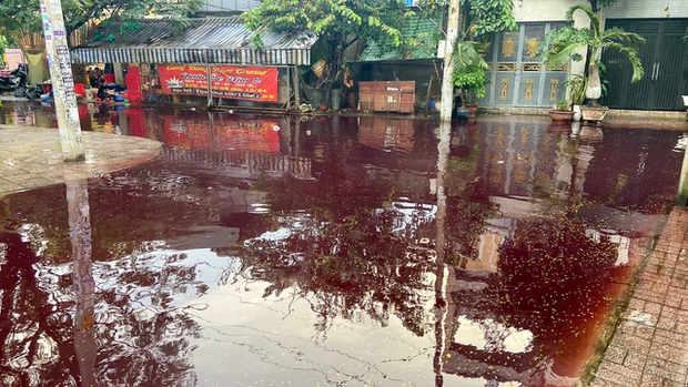  Sau cơn mưa, khu dân cư ở TP.HCM bị ngập nước có màu đỏ bất thường - Ảnh 7.