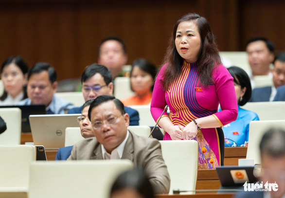 Đại biểu Quốc hội: Nhà đầu tư trong nước có thể mua công nghệ để làm đường sắt đô thị - Ảnh 1.