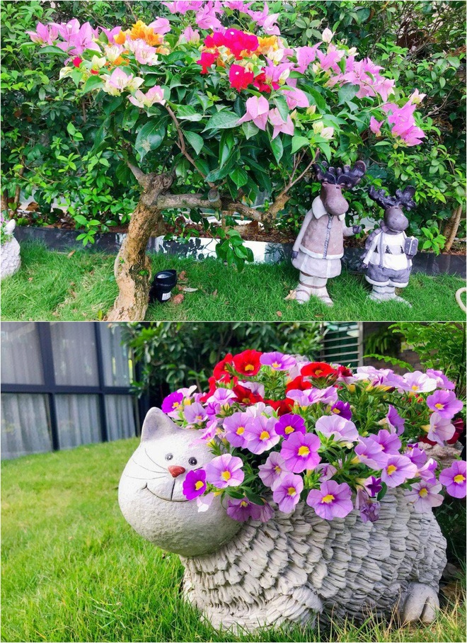 255m²のテラスガーデンは、所有者が10年間辛抱強く維持しています - 写真4. 255m²のテラスガーデンは、所有者が10年間辛抱強く維持しています - 写真4.