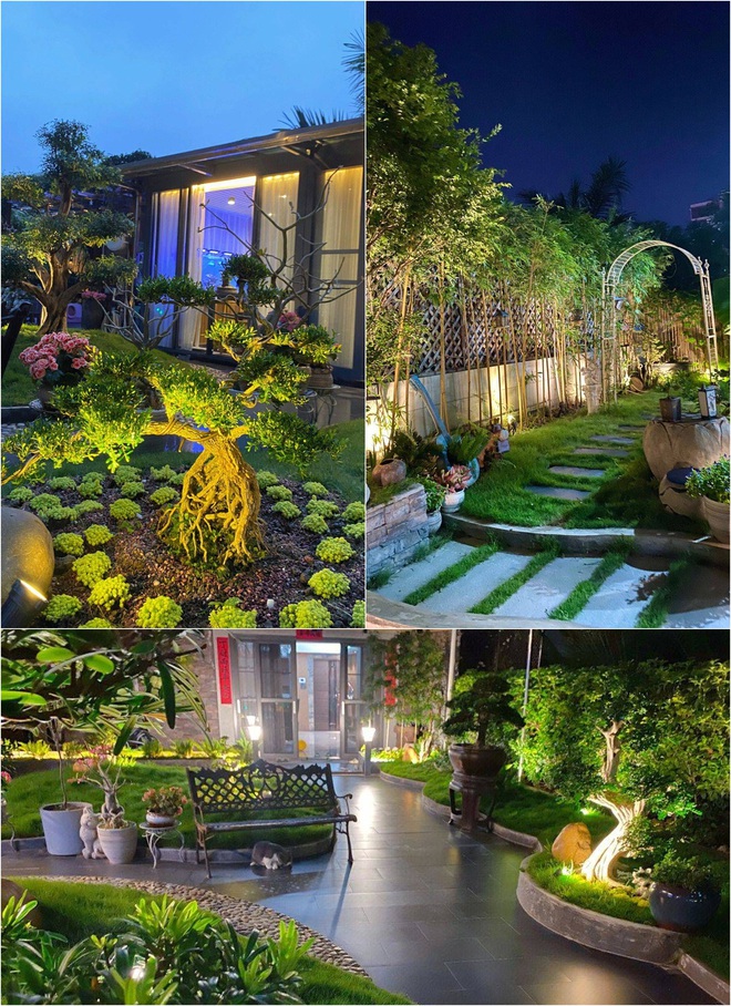 255m²のテラスガーデンは、所有者が10年間辛抱強く維持しています - 写真2. 255m²のテラスガーデンは、所有者が10年間辛抱強く維持しています - 写真2.