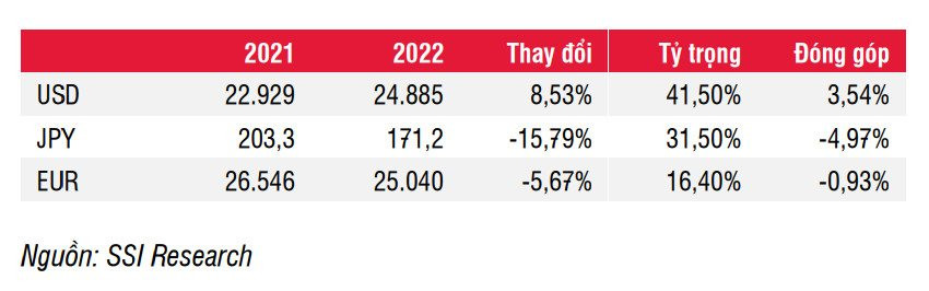 SSI Research: Nợ nước ngoài giảm nhờ tỷ giá - Ảnh 1. SSI Research: Nợ nước ngoài giảm nhờ tỷ giá - Ảnh 1.