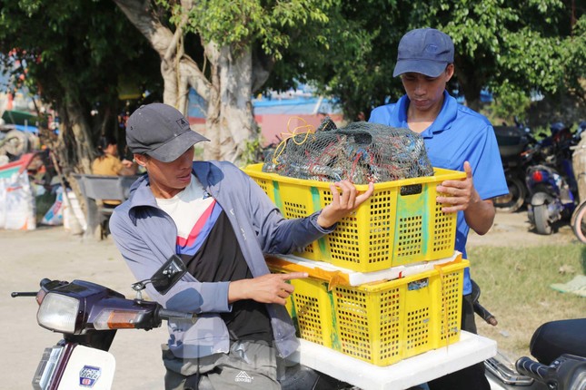 Thuyền về, tôm cá đầy khoang, ngư dân thu tiền triệu mỗi ngày - Ảnh 11. Thuyền về, tôm cá đầy khoang, ngư dân thu tiền triệu mỗi ngày - Ảnh 11.