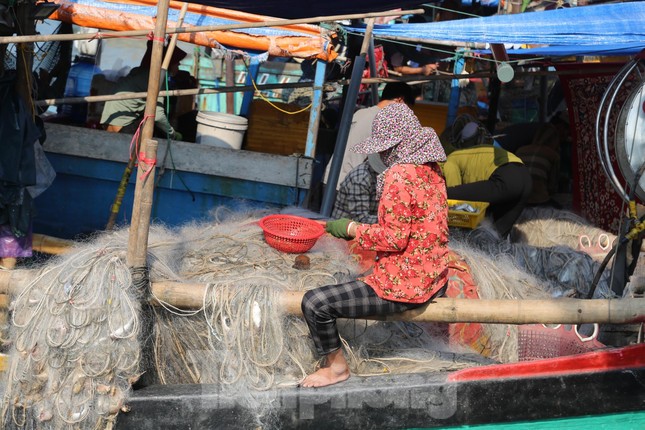 Thuyền về, tôm cá đầy khoang, ngư dân thu tiền triệu mỗi ngày - Ảnh 2. Thuyền về, tôm cá đầy khoang, ngư dân thu tiền triệu mỗi ngày - Ảnh 2.