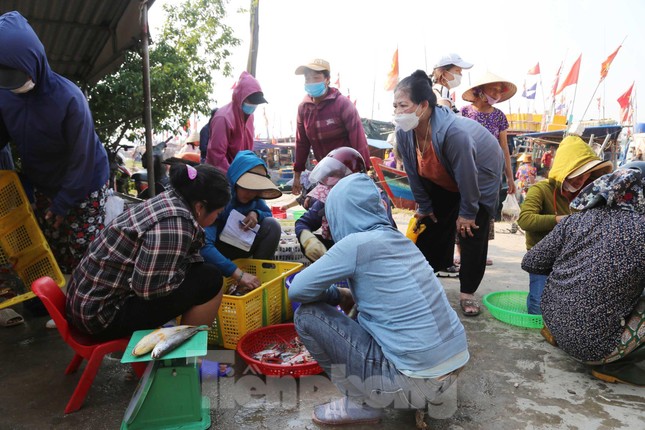 Thuyền về, tôm cá đầy khoang, ngư dân thu tiền triệu mỗi ngày - Ảnh 10. Thuyền về, tôm cá đầy khoang, ngư dân thu tiền triệu mỗi ngày - Ảnh 10.