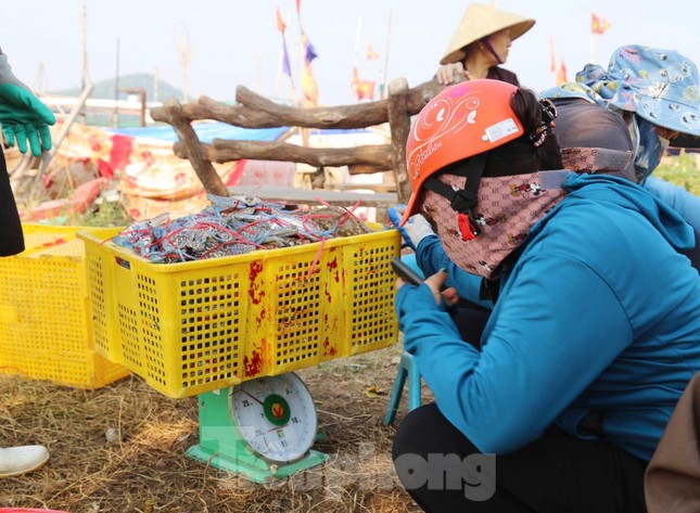 Thuyền về, tôm cá đầy khoang, ngư dân thu tiền triệu mỗi ngày - Ảnh 8. Thuyền về, tôm cá đầy khoang, ngư dân thu tiền triệu mỗi ngày - Ảnh 8.