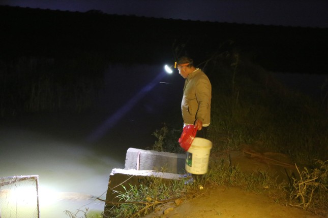 Đội đèn săn đặc sản kinh dị, nông dân kiếm tiền triệu mỗi đêm - Ảnh 5. Đội đèn săn đặc sản kinh dị, nông dân kiếm tiền triệu mỗi đêm - Ảnh 5.