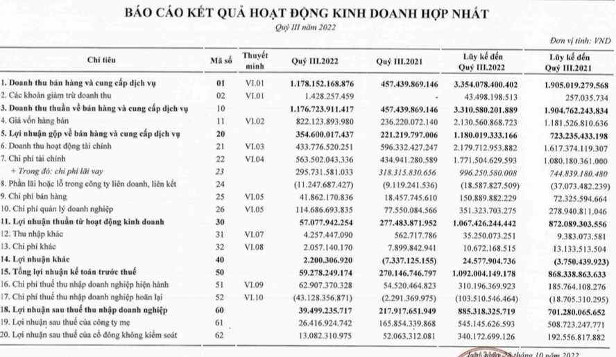 Bamboo Capital (BCG): M&A đóng băng khiến lợi nhuận quý 3/2022 chỉ còn 39 tỷ đồng dù doanh thu tăng vọt - Ảnh 1. Bamboo Capital (BCG): M&A đóng băng khiến lợi nhuận quý 3/2022 chỉ còn 39 tỷ đồng dù doanh thu tăng vọt - Ảnh 1.