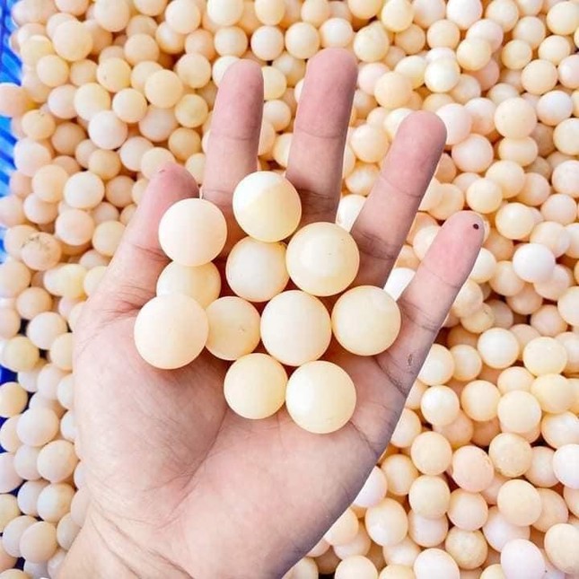 Loại trứng đẹp như ngọc, tưởng không ăn được mà ‘cháy’ hàng quanh năm - Ảnh 3.
