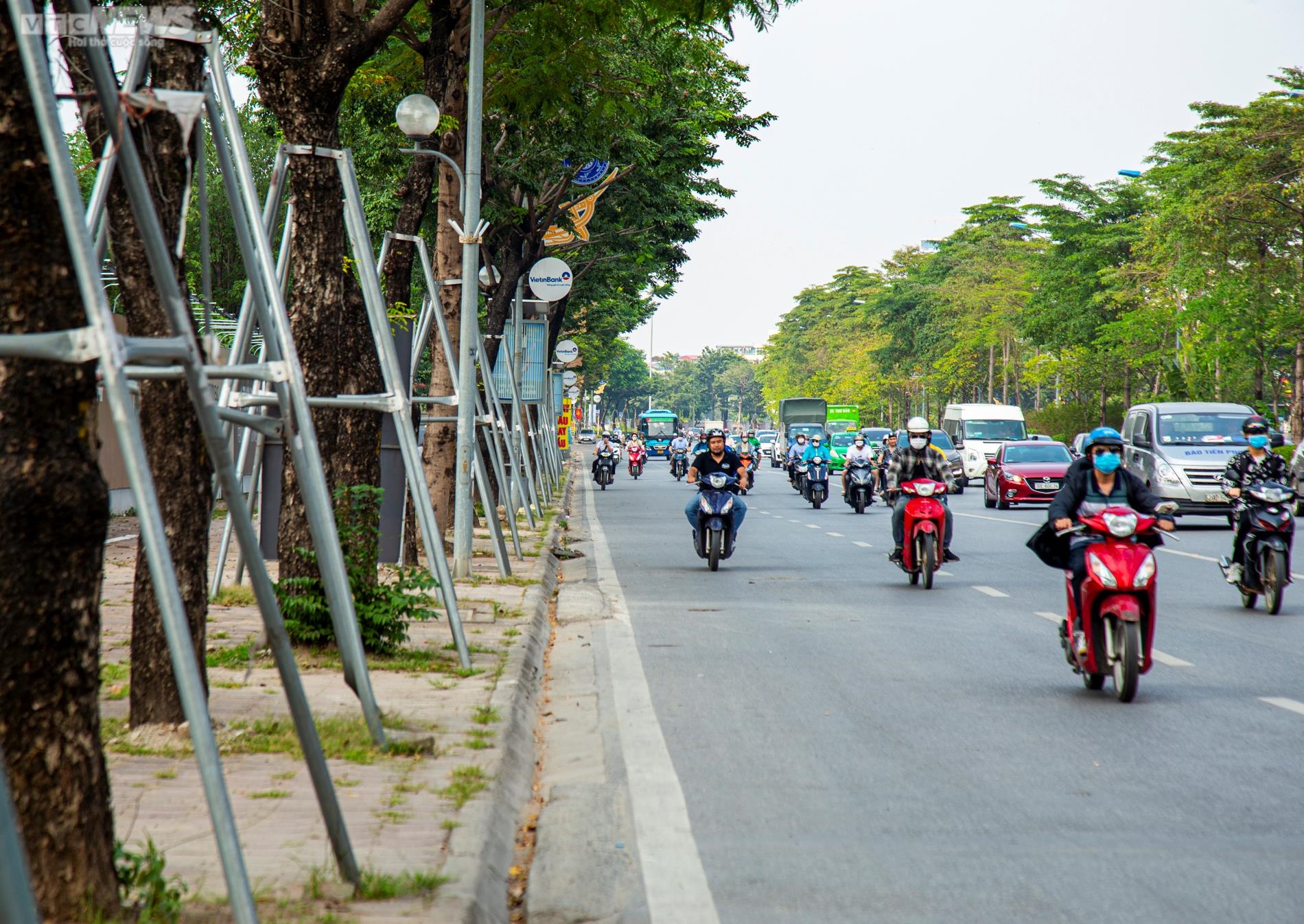 Ảnh: Xót xa gông cùm sắt siết chặt hàng cây xanh đang phát triển - Ảnh 2.