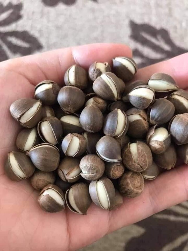 Hạt dẻ tí hon đắt khách đầu mùa - Ảnh 2.