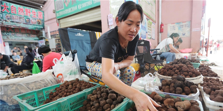 Một ngày ở chợ nấm Côn Minh - nơi bán thức quà của đất đắt đỏ bậc nhất thế giới - Ảnh 9. Một ngày ở chợ nấm Côn Minh - nơi bán thức quà của đất đắt đỏ bậc nhất thế giới - Ảnh 9.