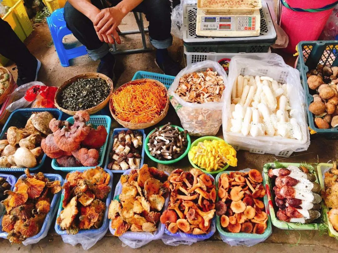 Một ngày ở chợ nấm Côn Minh - nơi bán thức quà của đất đắt đỏ bậc nhất thế giới - Ảnh 3. Một ngày ở chợ nấm Côn Minh - nơi bán thức quà của đất đắt đỏ bậc nhất thế giới - Ảnh 3.