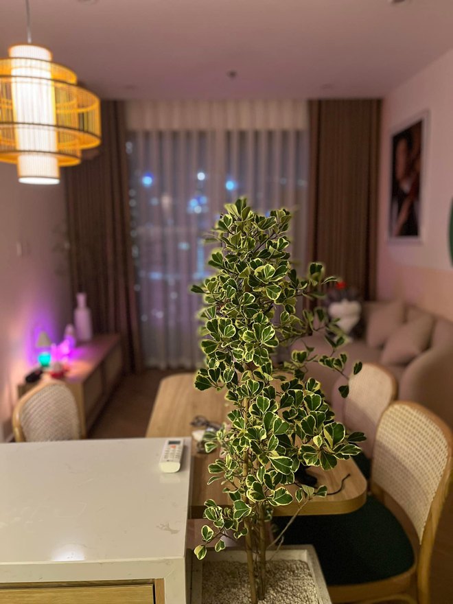 Quản lý tài chính ra sao khi vay tiền tỷ mua nhà? - Ảnh 12. Quản lý tài chính ra sao khi vay tiền tỷ mua nhà? - Ảnh 12.