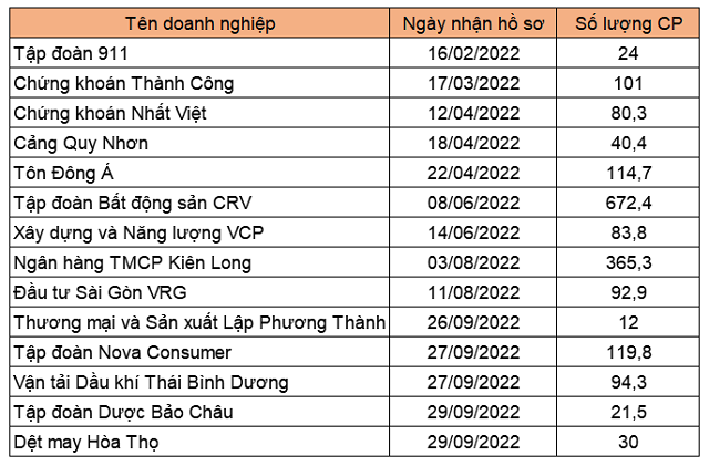 Thêm nhiều doanh nghiệp nộp hồ sơ niêm yết HoSE - Ảnh 1.