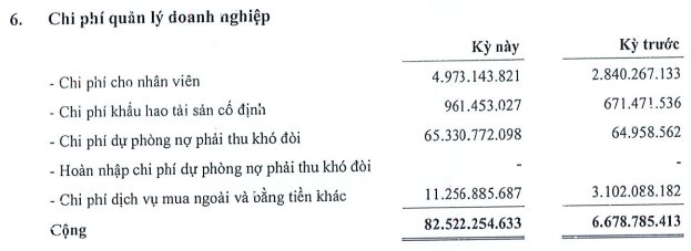 DN vừa công bố mất khả năng trả lãi trái phiếu: Quý 2/2022 lỗ nặng vì trích lập dự phòng, kiểm toán ngoại trừ loạt vấn đề - Ảnh 2.