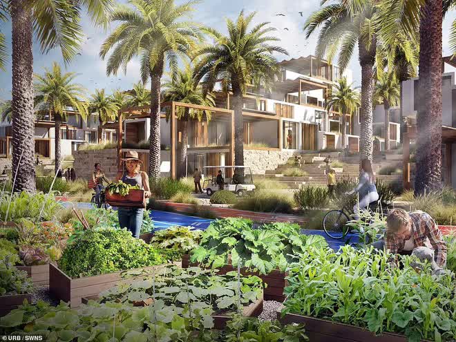 Đầu tư 15 tỷ USD, thành phố dễ đi bộ cho 100.000 dân của Kuwait trông như thế nào? - Ảnh 1. Đầu tư 15 tỷ USD, thành phố dễ đi bộ cho 100.000 dân của Kuwait trông như thế nào? - Ảnh 1.