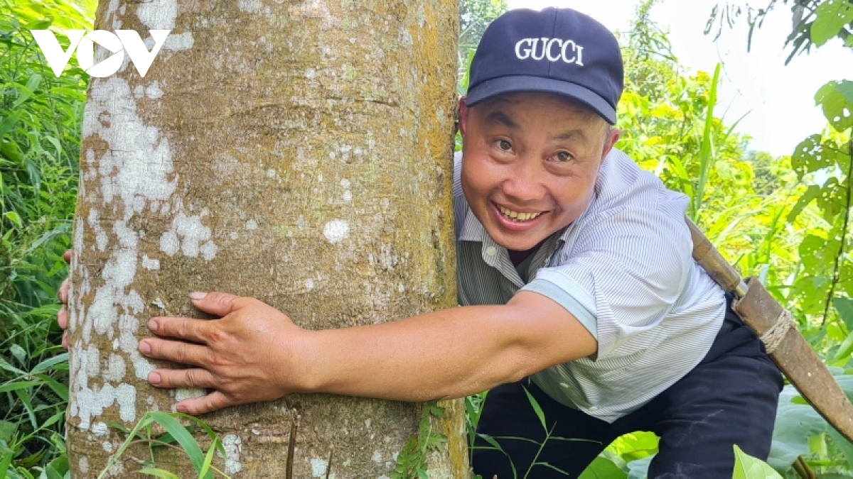 Trồng “cây vàng”, thanh niên người Mông trở thành tỷ phú - Ảnh 2. Trồng “cây vàng”, thanh niên người Mông trở thành tỷ phú - Ảnh 2.