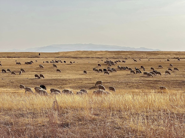 Theo chân du khách Việt ngắm thu vàng trên con đường tơ lụa từ Kazakhstan đến Kyrgyzstan - Ảnh 15.