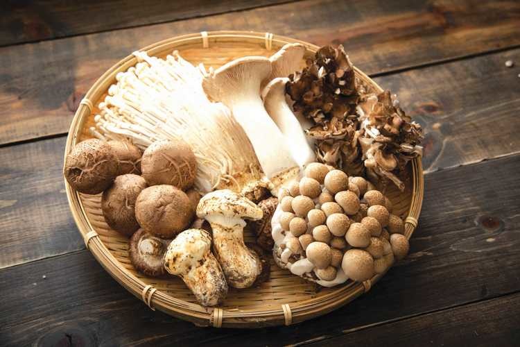 この食品を 1 日 18g 食べると、がんのリスクが 45% 減少します - 写真 1. この食品を 1 日 18g 食べると、がんのリスクが 45% 減少します - 写真 1.