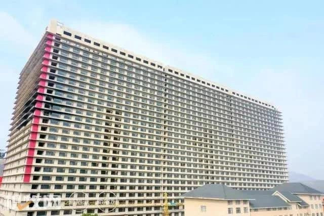 Có gì bên trong khách sạn 26 tầng dành cho... lợn ở Trung Quốc - Ảnh 3.