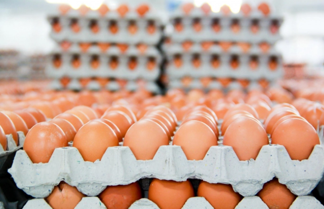  Thép ế, doanh số trứng gà vượt đỉnh có giúp Hòa Phát vượt qua cửa khó?  - Ảnh 3.