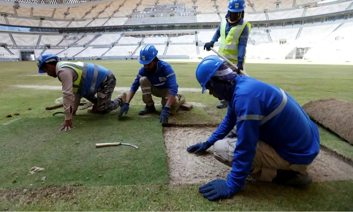 Sự Thật Đằng Sau Những Vụ Án Gian Lận Và Tham Nhũng Trong Bóng Đá