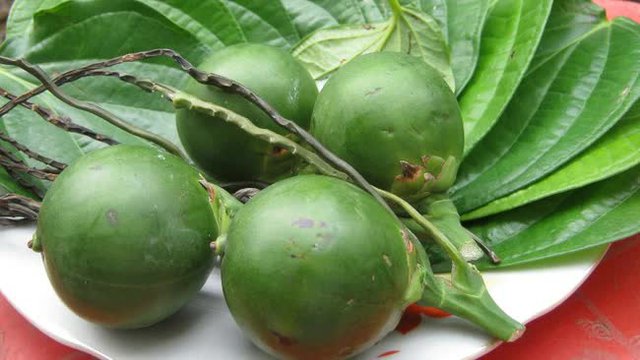 5 loại trái cây là vua ung thư, bị xếp vào danh sách đen vì chứa nhiều ký sinh trùng và độc tố nhưng người Việt nào cũng mê - Ảnh 2.