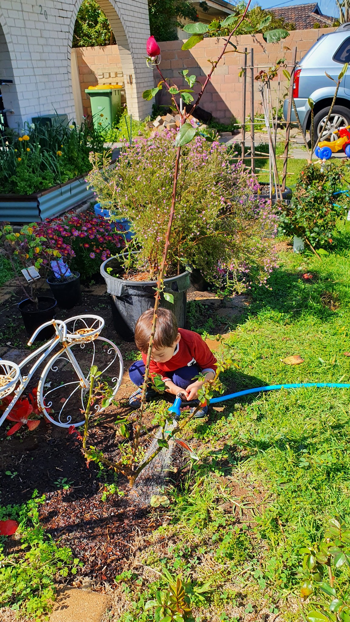 Khu vườn xanh tươi của bà mẹ trẻ người Việt trên đất Úc - Ảnh 10.